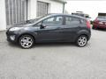 2011 Fiesta SES Hatchback #2
