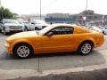 2007 Mustang GT Premium Coupe #5