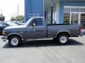  1991 Ford F150 Dark Grey Metallic #6