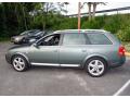  2004 Audi Allroad Highland Green Metallic #11
