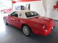 2004 Thunderbird Deluxe Roadster #2