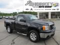 2009 Sierra 1500 SLE Regular Cab 4x4 #1