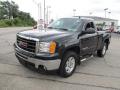 2009 Sierra 1500 SLE Regular Cab 4x4 #7