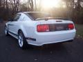 2007 Mustang Saleen H281 Heritage Edition Supercharged Coupe #5