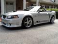  2000 Ford Mustang Silver Metallic #1