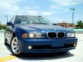  2002 BMW 5 Series Topaz Blue Metallic #25