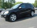 2009 ML 350 4Matic #2