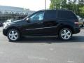 2009 ML 350 4Matic #3