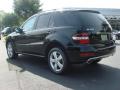 2009 ML 350 4Matic #4