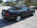 2007 Mustang GT Premium Convertible #4