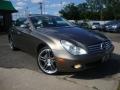 2006 CLS 500 #2