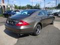 2006 CLS 500 #4