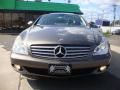 2006 CLS 500 #9