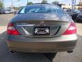2006 CLS 500 #10
