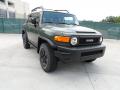 2011 FJ Cruiser Trail Teams Special Edition 4WD #1