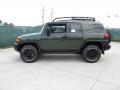 2011 FJ Cruiser Trail Teams Special Edition 4WD #6