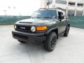 2011 FJ Cruiser Trail Teams Special Edition 4WD #7