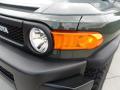 2011 FJ Cruiser Trail Teams Special Edition 4WD #9