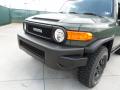 2011 FJ Cruiser Trail Teams Special Edition 4WD #10