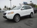  2009 Hyundai Santa Fe Powder White Pearl #1