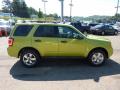 2012 Escape XLT 4WD #5