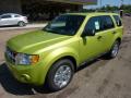 Front 3/4 View of 2012 Ford Escape XLT 4WD #8