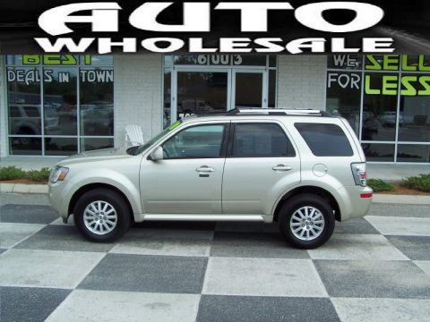 Gold Leaf Metallic Mercury Mariner V6 Premier.  Click to enlarge.