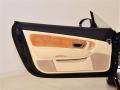 Door Panel of 2010 Bentley Continental GT Speed #17 Door Panel of 2010 Bentley Continental GT Speed #17