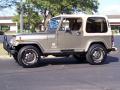 1990 Wrangler Sahara 4x4 #4