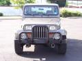 1990 Wrangler Sahara 4x4 #12