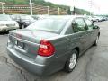 2004 Malibu LS V6 Sedan #5 2004 Malibu LS V6 Sedan #5