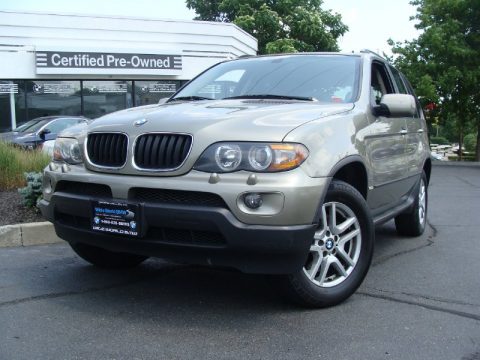 Olivin Green Metallic BMW X5 3.0i.  Click to enlarge.