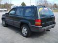 1994 Grand Cherokee Laredo 4x4 #7 1994 Grand Cherokee Laredo 4x4 #7