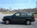 1994 Jeep Grand Cherokee Everglade Green Pearl #8 1994 Jeep Grand Cherokee Everglade Green Pearl #8