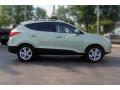  2010 Hyundai Tucson Kiwi Green #2