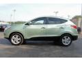  2010 Hyundai Tucson Kiwi Green #6