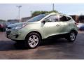 Front 3/4 View of 2010 Hyundai Tucson Limited AWD #7