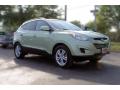 2010 Tucson Limited AWD #9