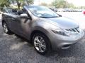  2011 Nissan Murano Platinum Graphite #16