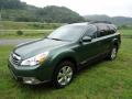  2011 Subaru Outback Cypress Green Pearl #7