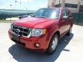 2012 Escape XLT #7