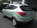 2012 Tucson GLS #8