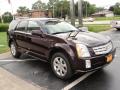 Front 3/4 View of 2008 Cadillac SRX V8 #3