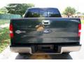 2006 F150 King Ranch SuperCrew 4x4 #18