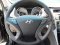  2012 Hyundai Sonata GLS Steering Wheel #32