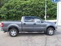  2004 Ford F150 Dark Shadow Grey Metallic #12