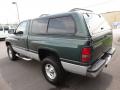 2001 Ram 1500 SLT Regular Cab 4x4 #5