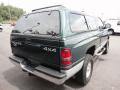 2001 Ram 1500 SLT Regular Cab 4x4 #7