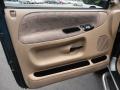 Door Panel of 2001 Dodge Ram 1500 SLT Regular Cab 4x4 #12