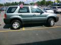  2006 Ford Escape Titanium Green Metallic #5